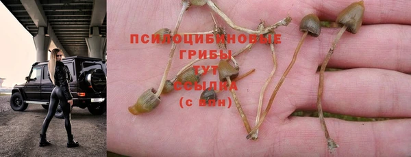 spice Пересвет