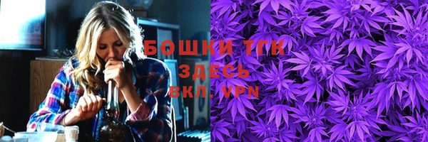 spice Пересвет