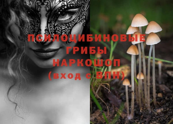 герыч Пестово