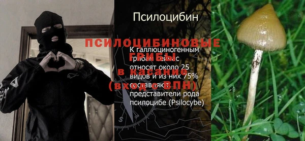 spice Пересвет