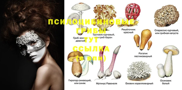 герыч Пестово