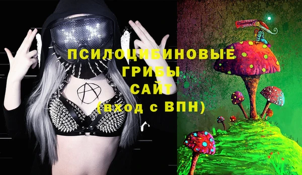 spice Пересвет