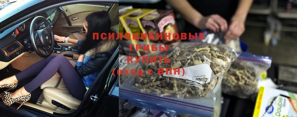 spice Пересвет