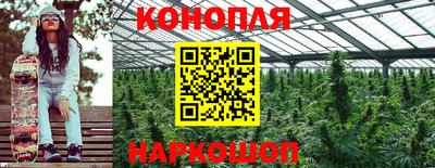 марки lsd Камышлов