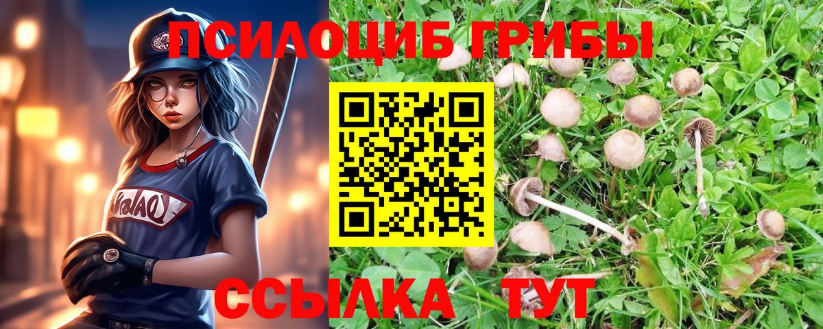 продажа наркотиков  Вход с VPN  Рославль  Галлюциногенные грибы прущие грибы 