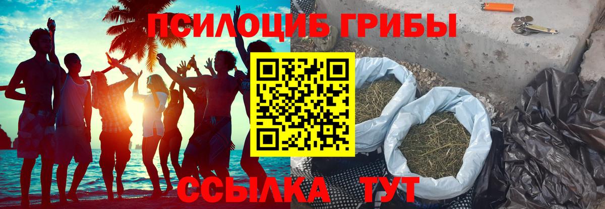 Галлюциногенные грибы прущие грибы Рославль