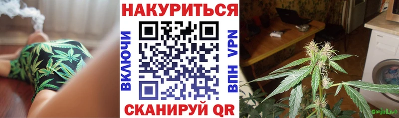 Каннабис конопля Рославль